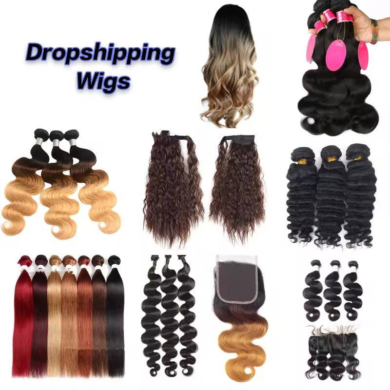 Best Dropshipping supplier global services human hair wigs